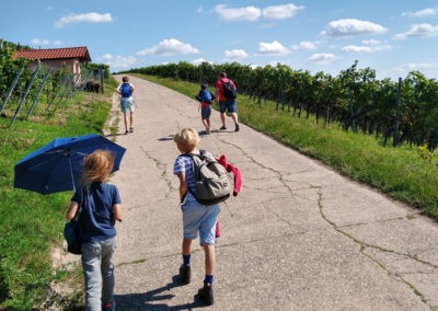 Aufstieg (Bild: Julian Hertler)