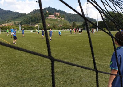 28.08.2019 Netz (Bild: Jakob Würfel)